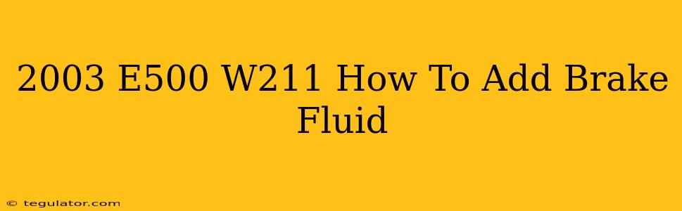 2003 E500 W211 How To Add Brake Fluid