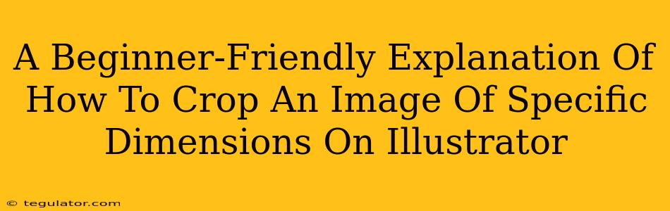 A Beginner-Friendly Explanation Of How To Crop An Image Of Specific Dimensions On Illustrator