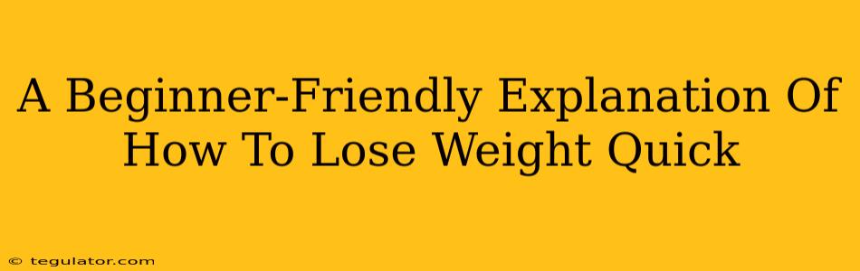 A Beginner-Friendly Explanation Of How To Lose Weight Quick