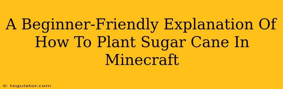 A Beginner-Friendly Explanation Of How To Plant Sugar Cane In Minecraft