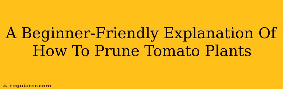 A Beginner-Friendly Explanation Of How To Prune Tomato Plants