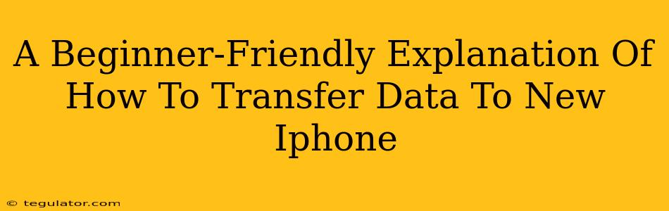 A Beginner-Friendly Explanation Of How To Transfer Data To New Iphone