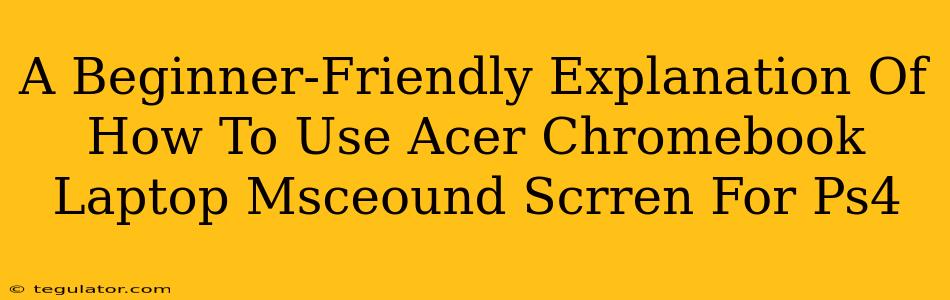 A Beginner-Friendly Explanation Of How To Use Acer Chromebook Laptop Msceound Scrren For Ps4