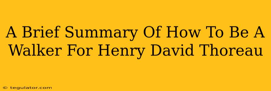 A Brief Summary Of How To Be A Walker For Henry David Thoreau