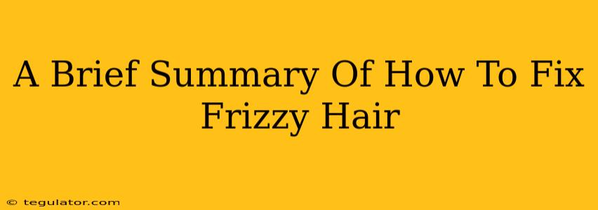 A Brief Summary Of How To Fix Frizzy Hair