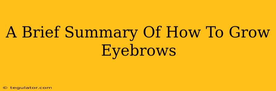 A Brief Summary Of How To Grow Eyebrows