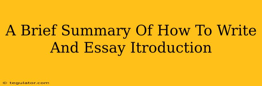 A Brief Summary Of How To Write And Essay Itroduction