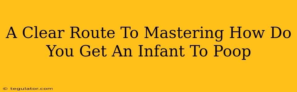 A Clear Route To Mastering How Do You Get An Infant To Poop