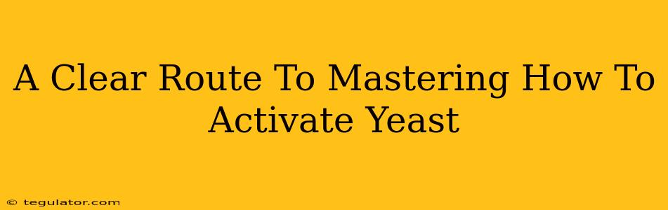 A Clear Route To Mastering How To Activate Yeast