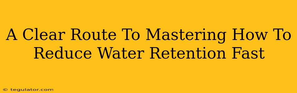 A Clear Route To Mastering How To Reduce Water Retention Fast