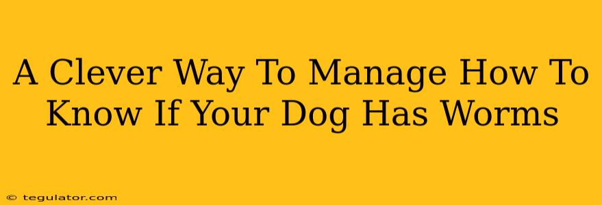 A Clever Way To Manage How To Know If Your Dog Has Worms