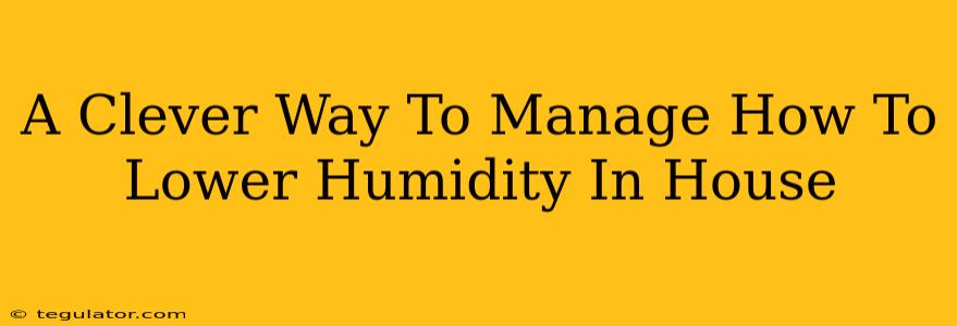 A Clever Way To Manage How To Lower Humidity In House