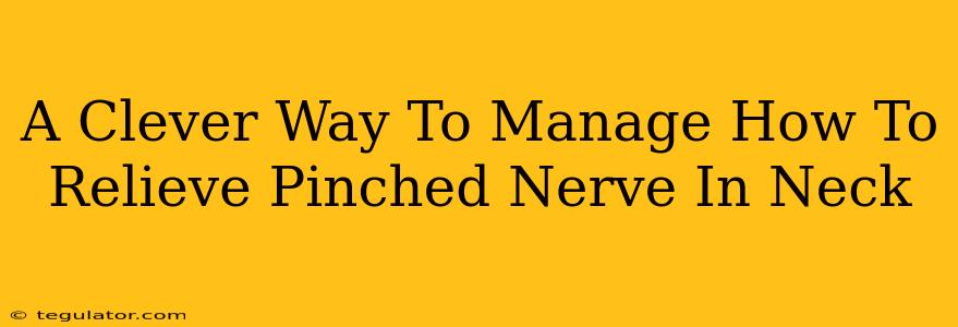 A Clever Way To Manage How To Relieve Pinched Nerve In Neck