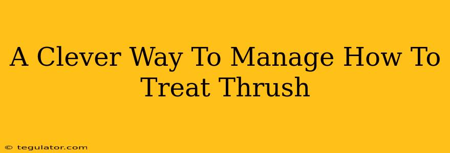 A Clever Way To Manage How To Treat Thrush