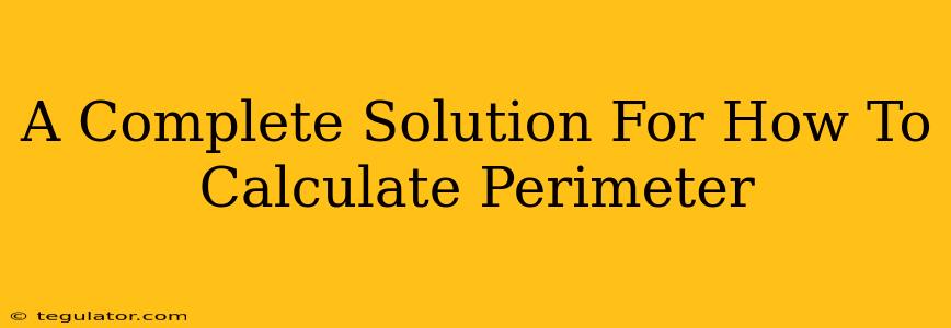 A Complete Solution For How To Calculate Perimeter