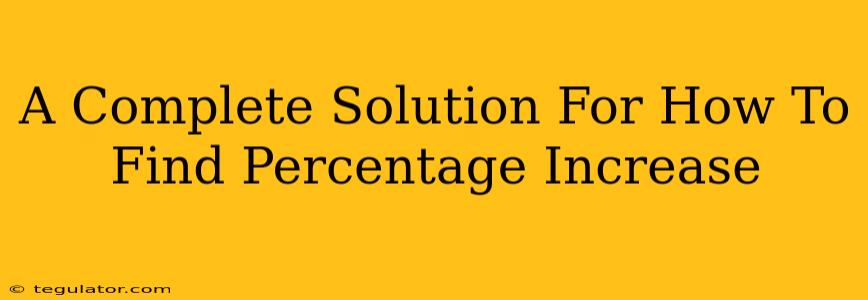 A Complete Solution For How To Find Percentage Increase