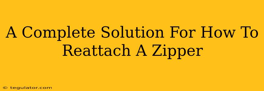 A Complete Solution For How To Reattach A Zipper