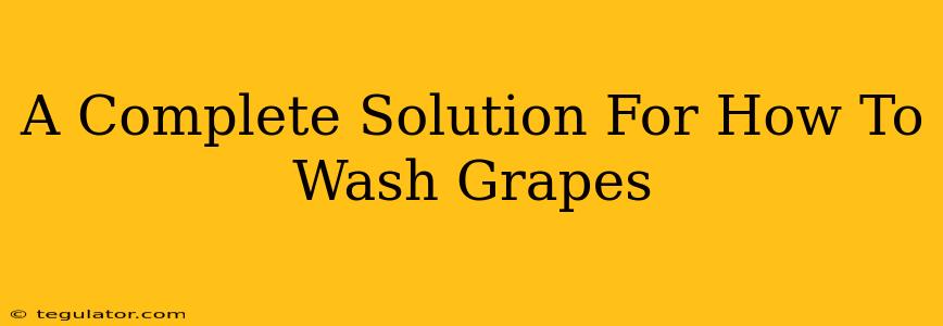 A Complete Solution For How To Wash Grapes