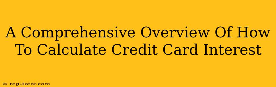 A Comprehensive Overview Of How To Calculate Credit Card Interest