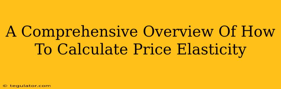 A Comprehensive Overview Of How To Calculate Price Elasticity