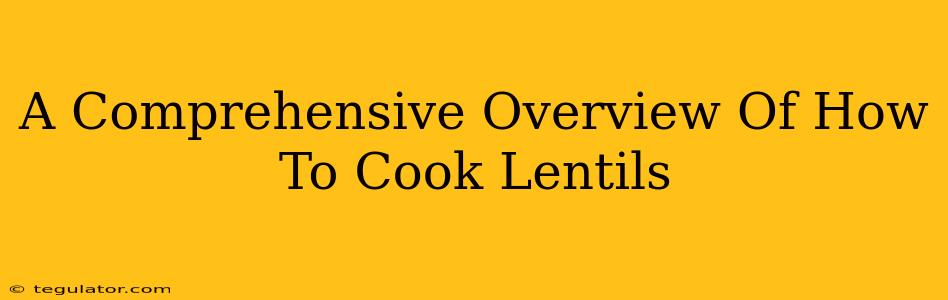 A Comprehensive Overview Of How To Cook Lentils