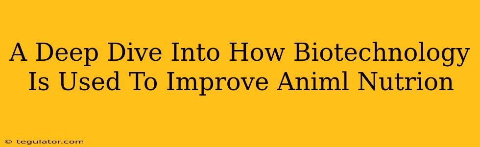 A Deep Dive Into How Biotechnology Is Used To Improve Animl Nutrion