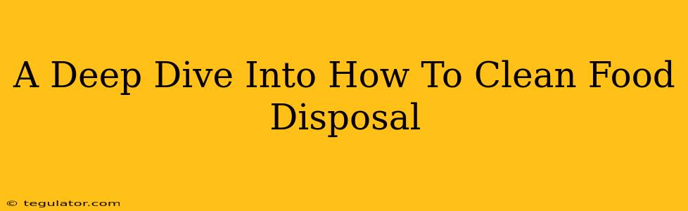 A Deep Dive Into How To Clean Food Disposal