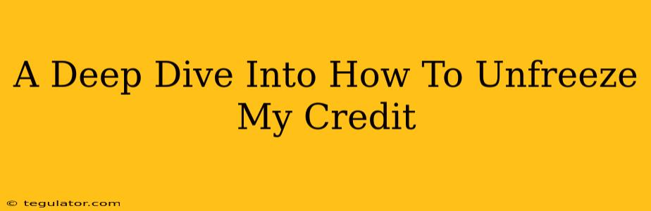 A Deep Dive Into How To Unfreeze My Credit