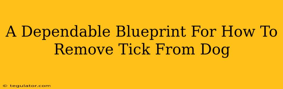 A Dependable Blueprint For How To Remove Tick From Dog