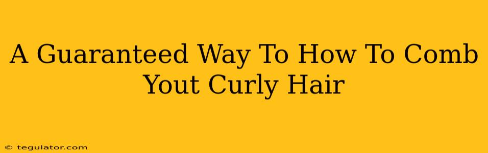 A Guaranteed Way To How To Comb Yout Curly Hair