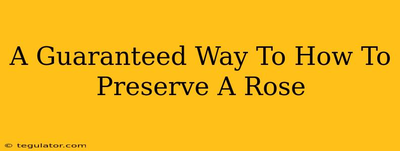 A Guaranteed Way To How To Preserve A Rose