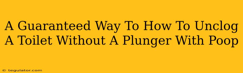 A Guaranteed Way To How To Unclog A Toilet Without A Plunger With Poop