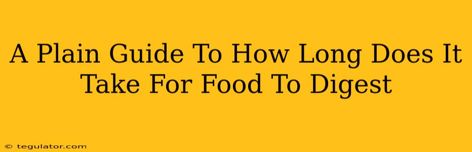 A Plain Guide To How Long Does It Take For Food To Digest