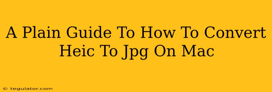 A Plain Guide To How To Convert Heic To Jpg On Mac