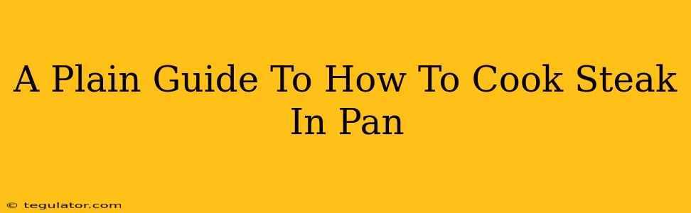 A Plain Guide To How To Cook Steak In Pan