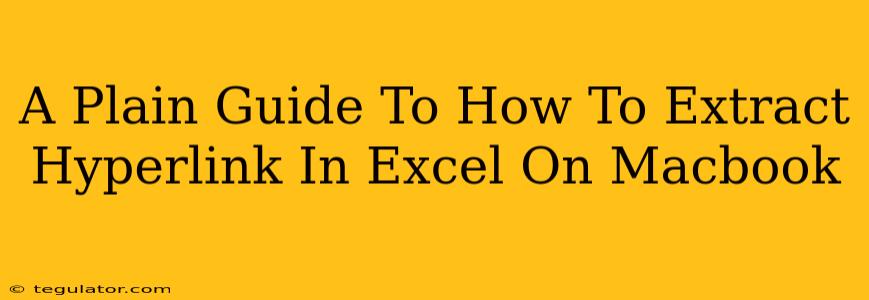 A Plain Guide To How To Extract Hyperlink In Excel On Macbook