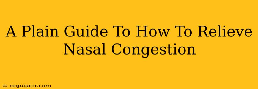 A Plain Guide To How To Relieve Nasal Congestion