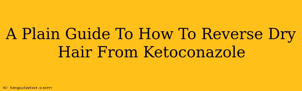 A Plain Guide To How To Reverse Dry Hair From Ketoconazole