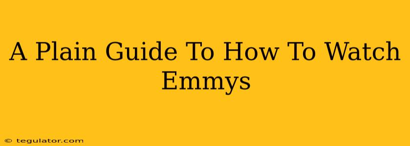 A Plain Guide To How To Watch Emmys