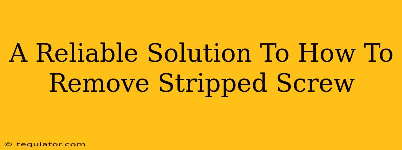 A Reliable Solution To How To Remove Stripped Screw