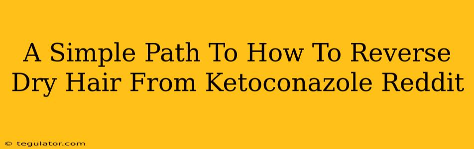 A Simple Path To How To Reverse Dry Hair From Ketoconazole Reddit