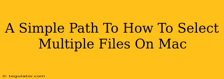 A Simple Path To How To Select Multiple Files On Mac