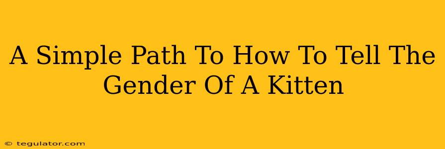 A Simple Path To How To Tell The Gender Of A Kitten