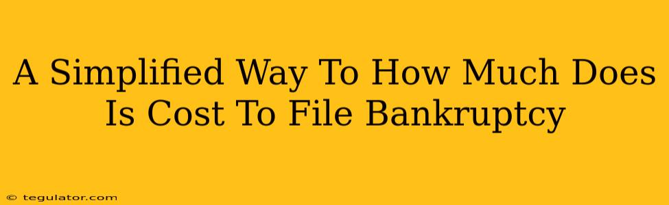 A Simplified Way To How Much Does Is Cost To File Bankruptcy