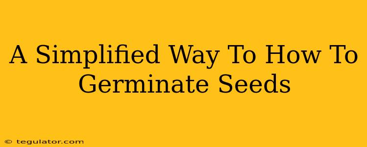 A Simplified Way To How To Germinate Seeds