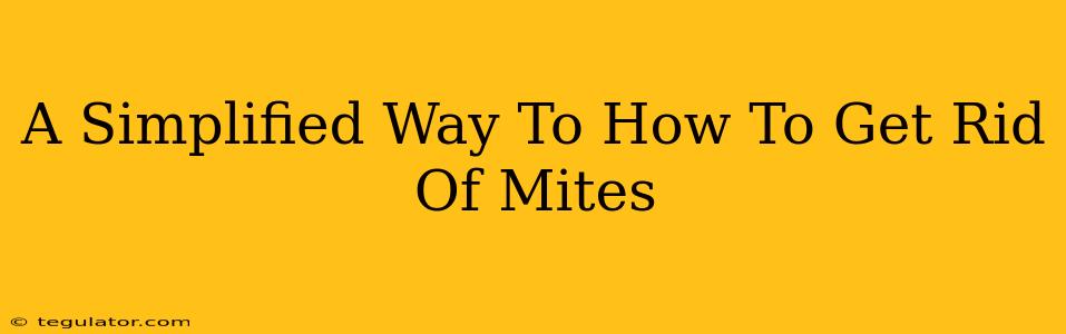 A Simplified Way To How To Get Rid Of Mites