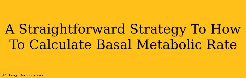 A Straightforward Strategy To How To Calculate Basal Metabolic Rate