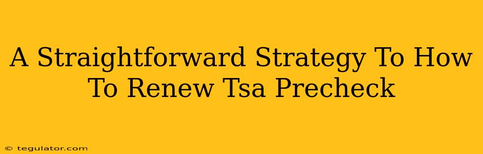 A Straightforward Strategy To How To Renew Tsa Precheck