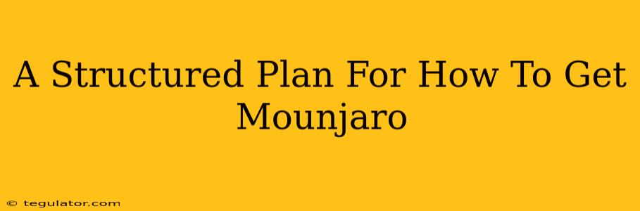 A Structured Plan For How To Get Mounjaro