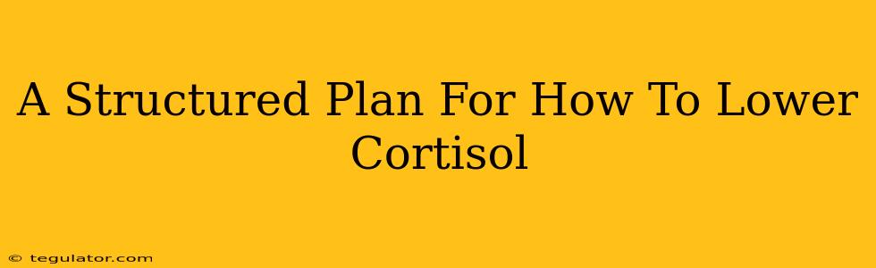 A Structured Plan For How To Lower Cortisol